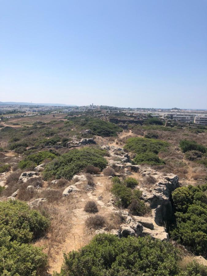Atlit Rooftop Glamping 外观 照片